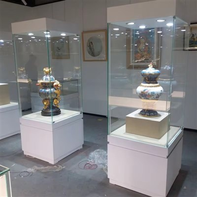 Museumtentoonstellingskast