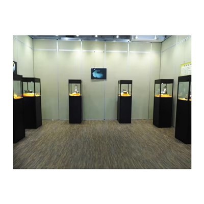 Museumtentoonstellingsbijlage